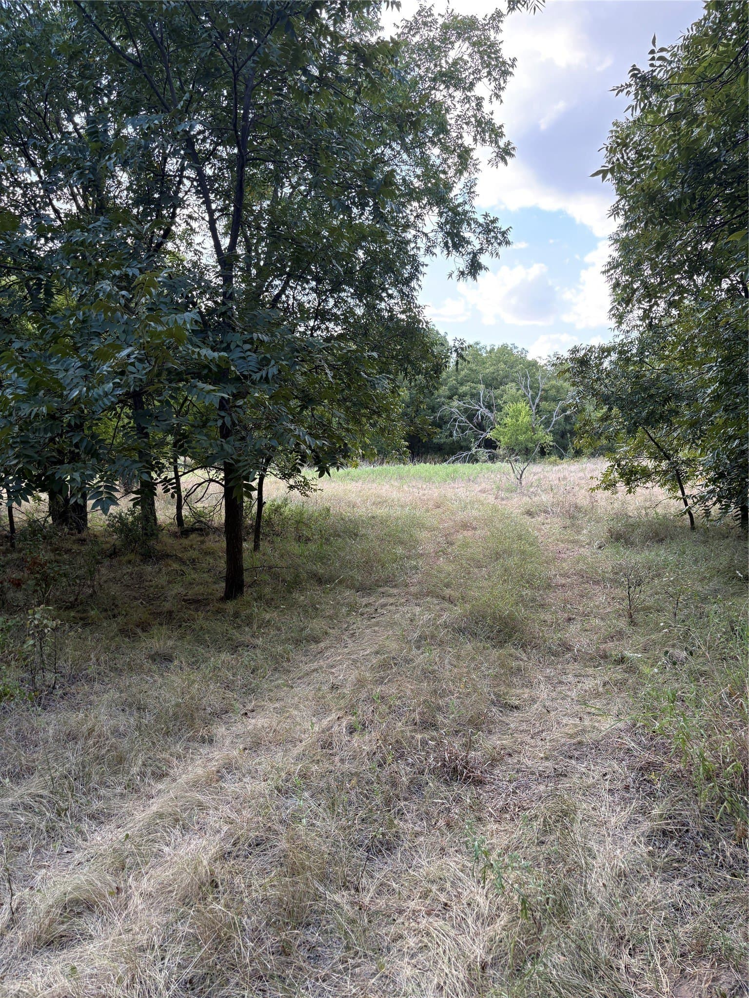 50 acres in Jack County - photo 37