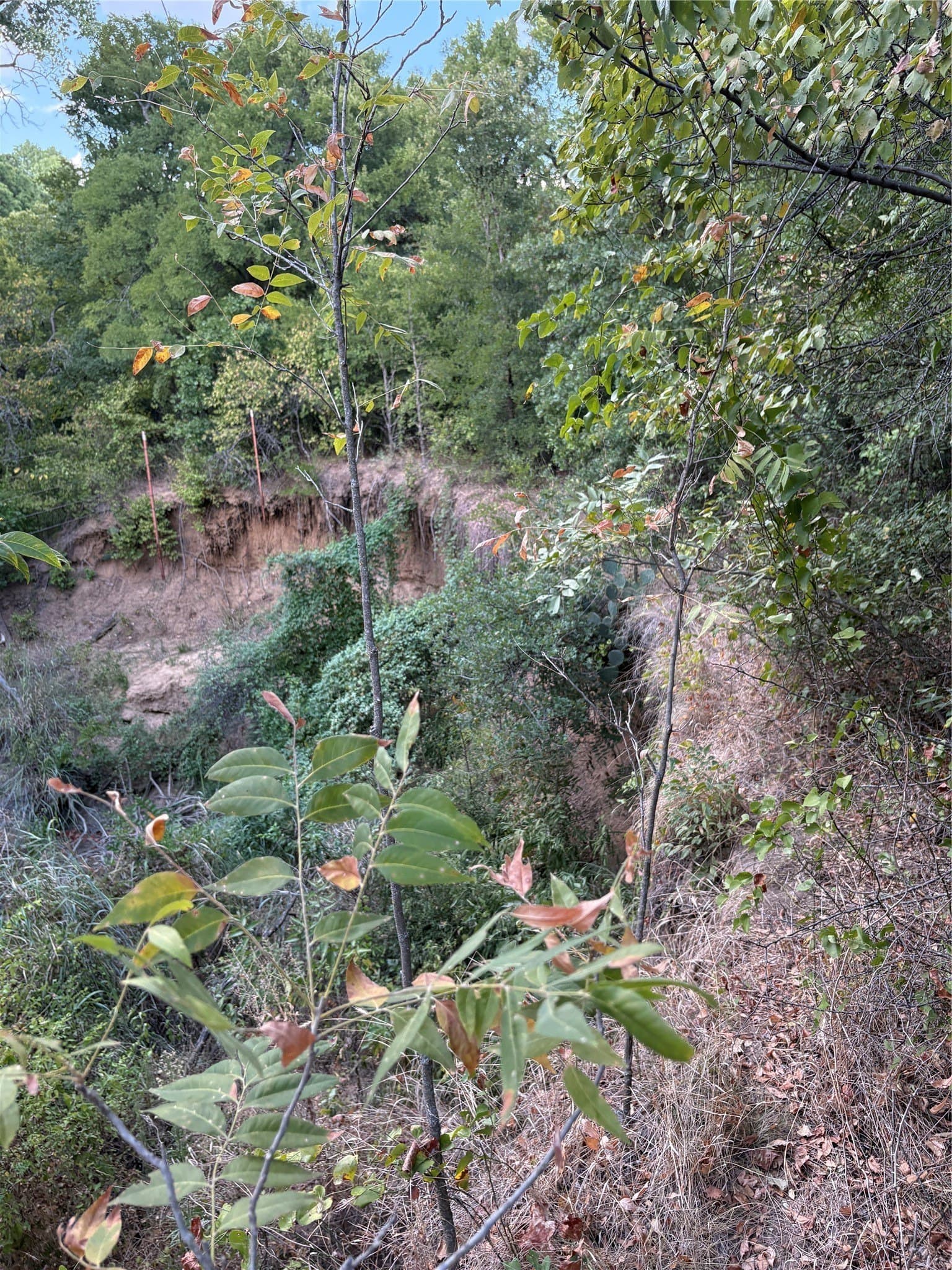 50 acres in Jack County - photo 36