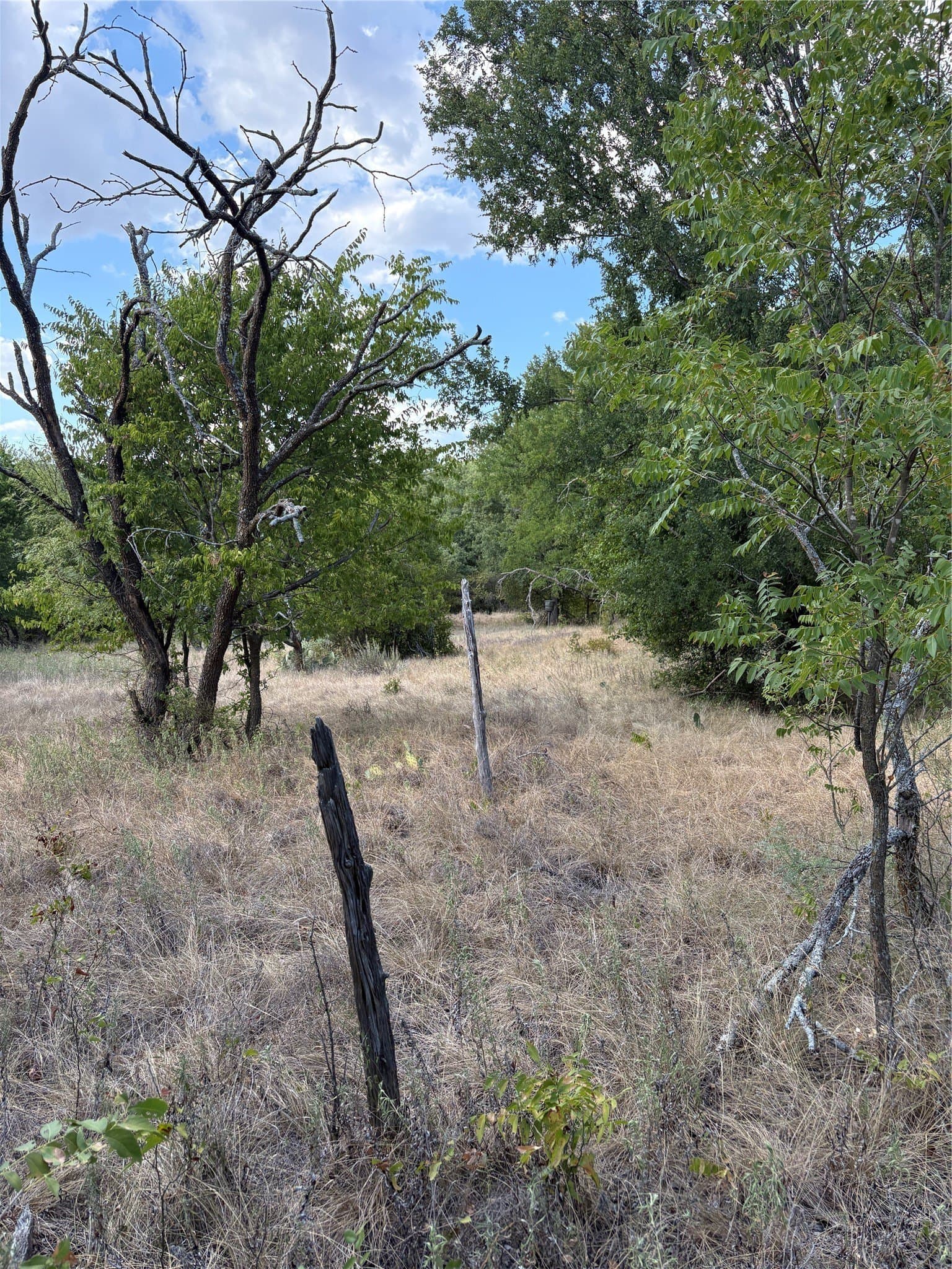 50 acres in Jack County - photo 27