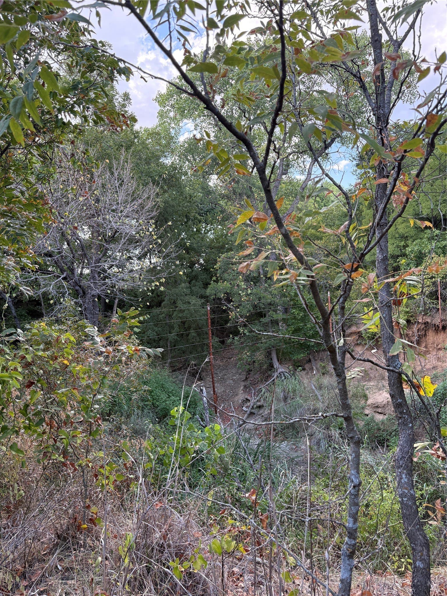 50 acres in Jack County - photo 34