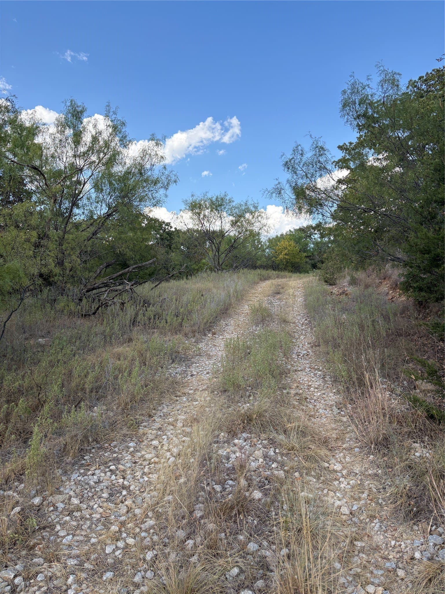 50 acres in Jack County - photo 4