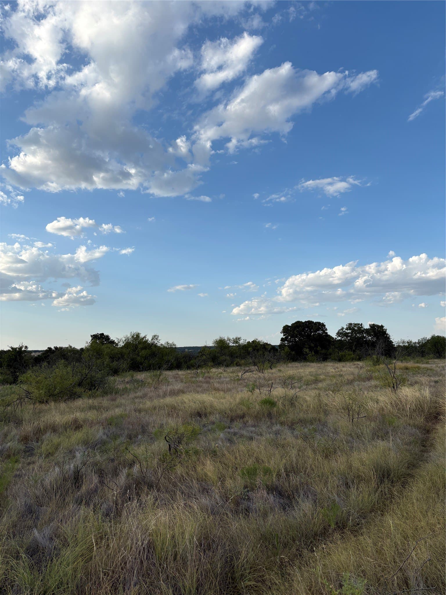50 acres in Jack County - photo 9
