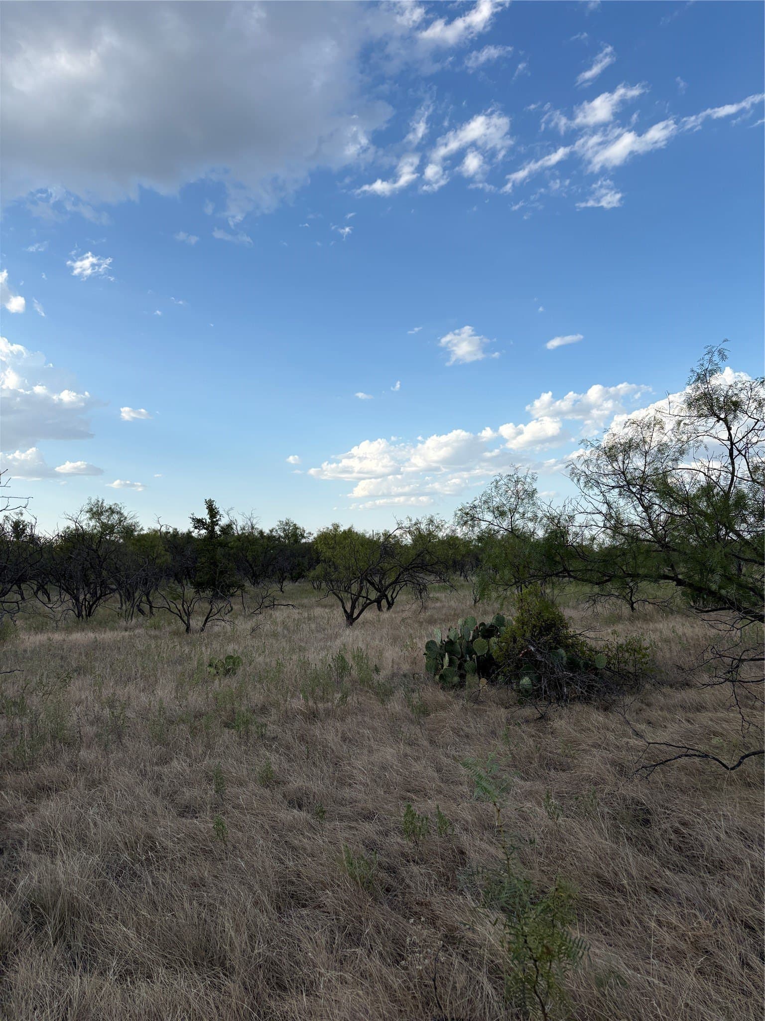 50 acres in Jack County - photo 16