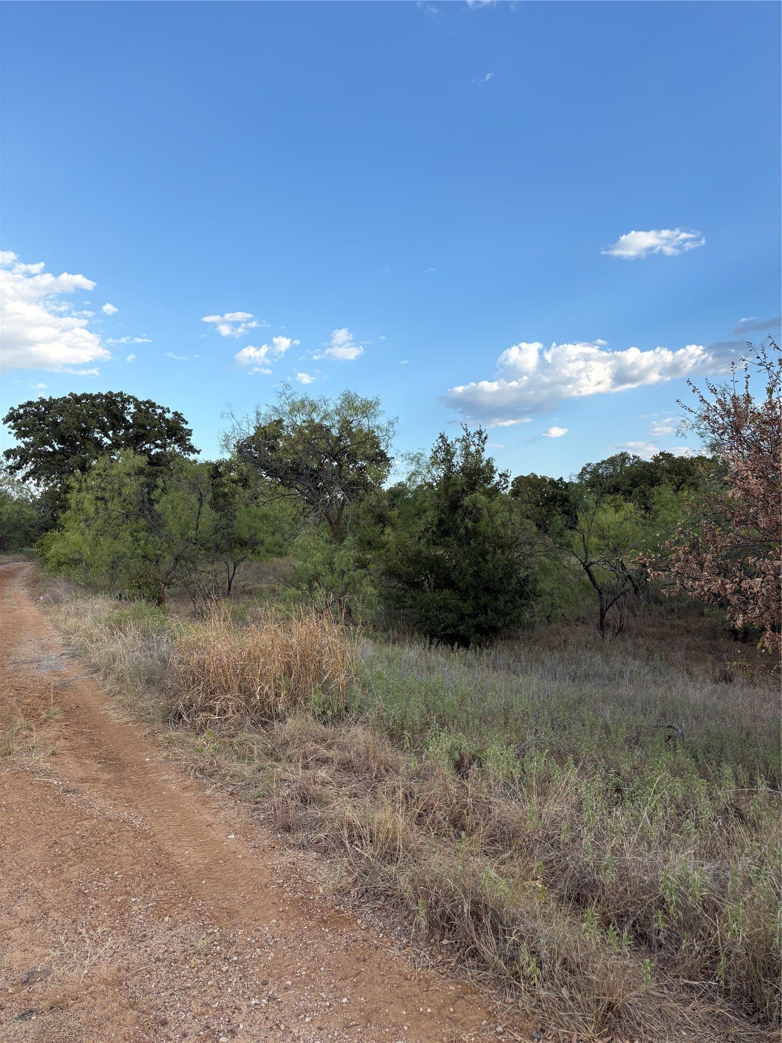 50 acres in Jack County - photo 15