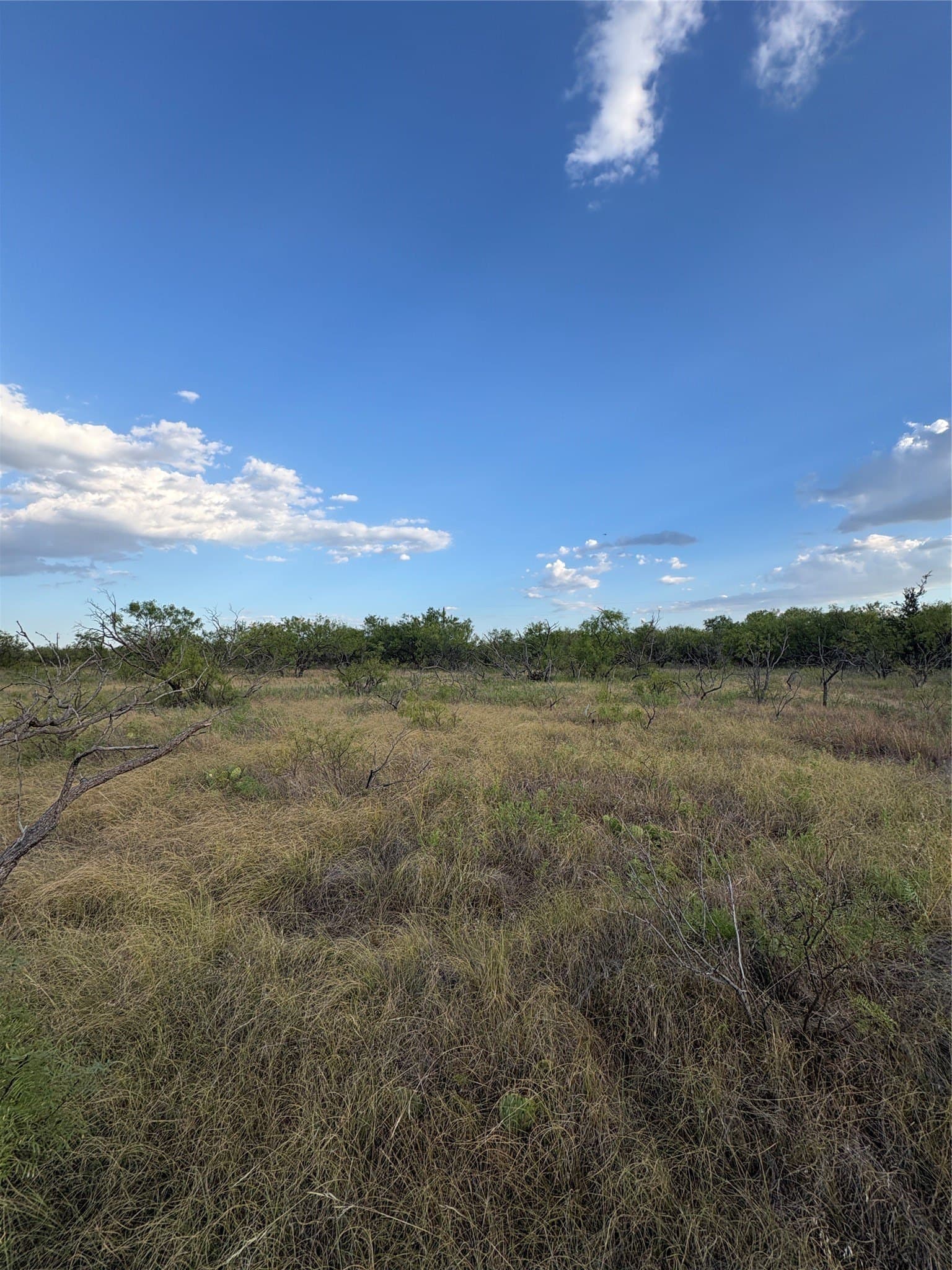 50 acres in Jack County - photo 6