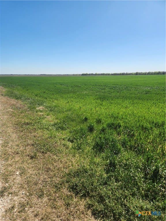 30 acres in Ellis County gallery image 3