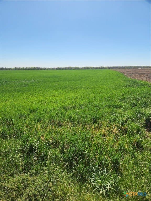 30 acres in Ellis County gallery image 2