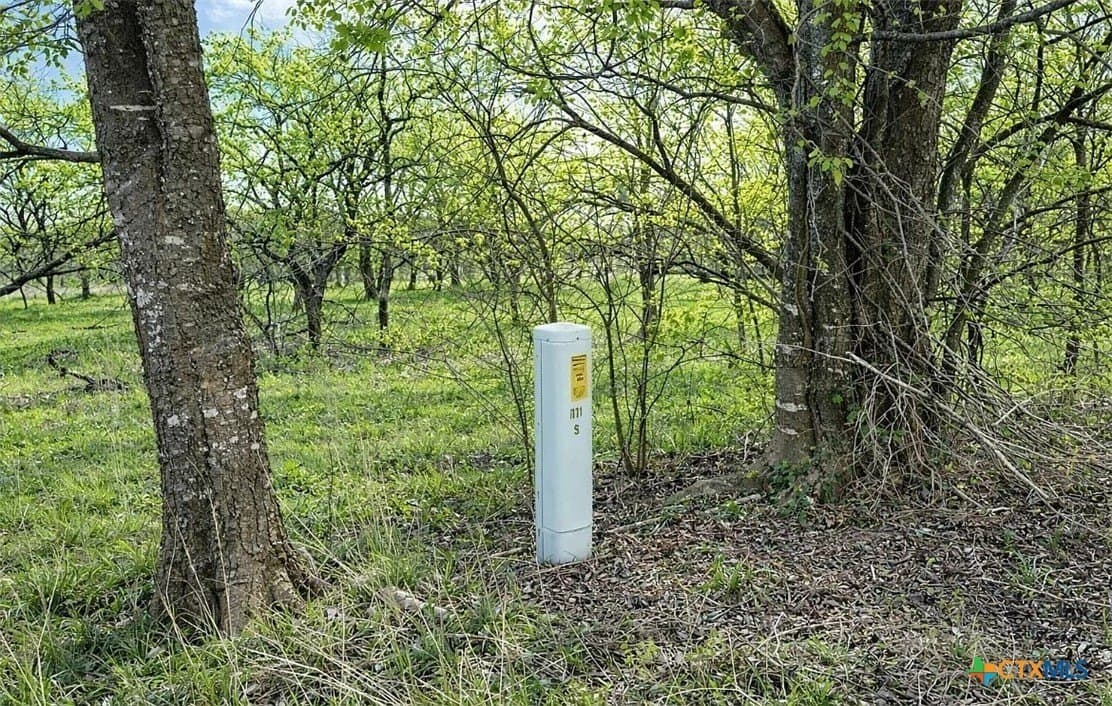 40.67 acres in Limestone County gallery image 4