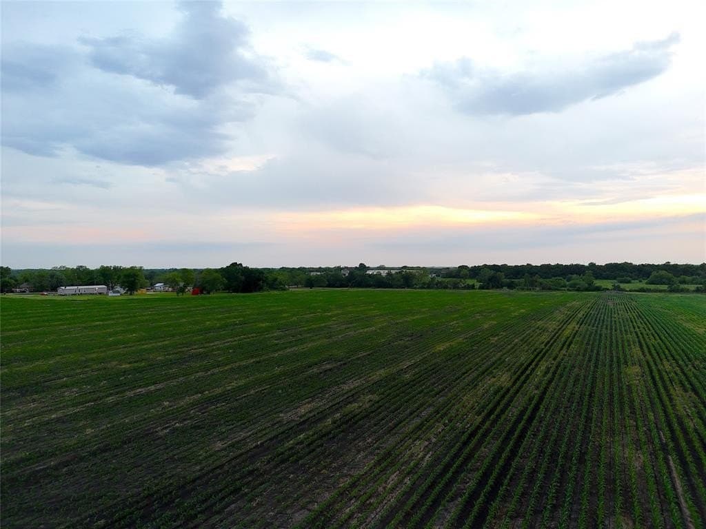 41 acres in Delta County gallery image 3