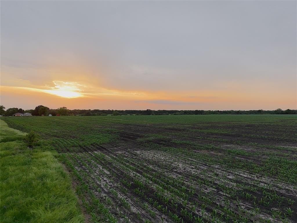 41 acres in Delta County featured view