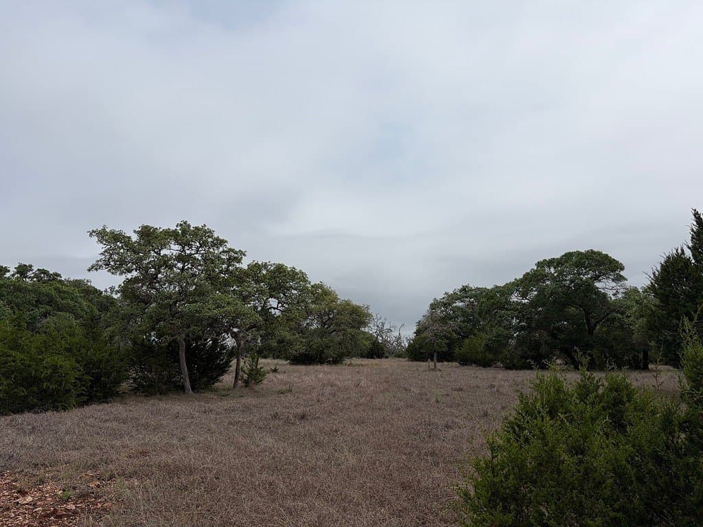 23.38 acres in Kendall County gallery image 4
