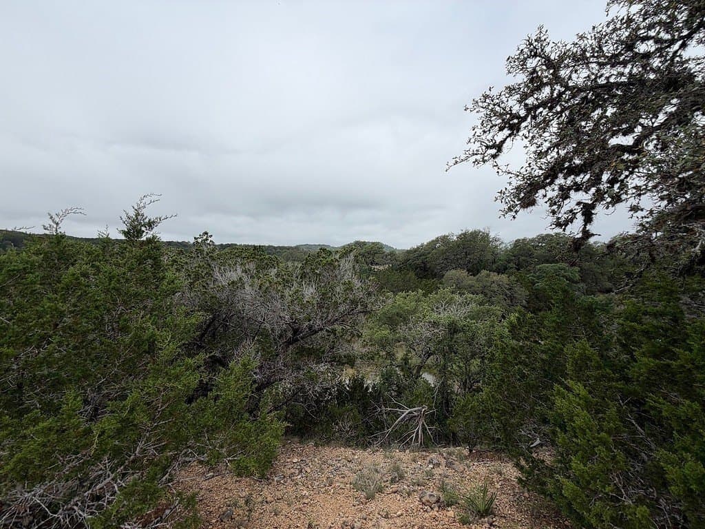23.38 acres in Kendall County gallery image 2