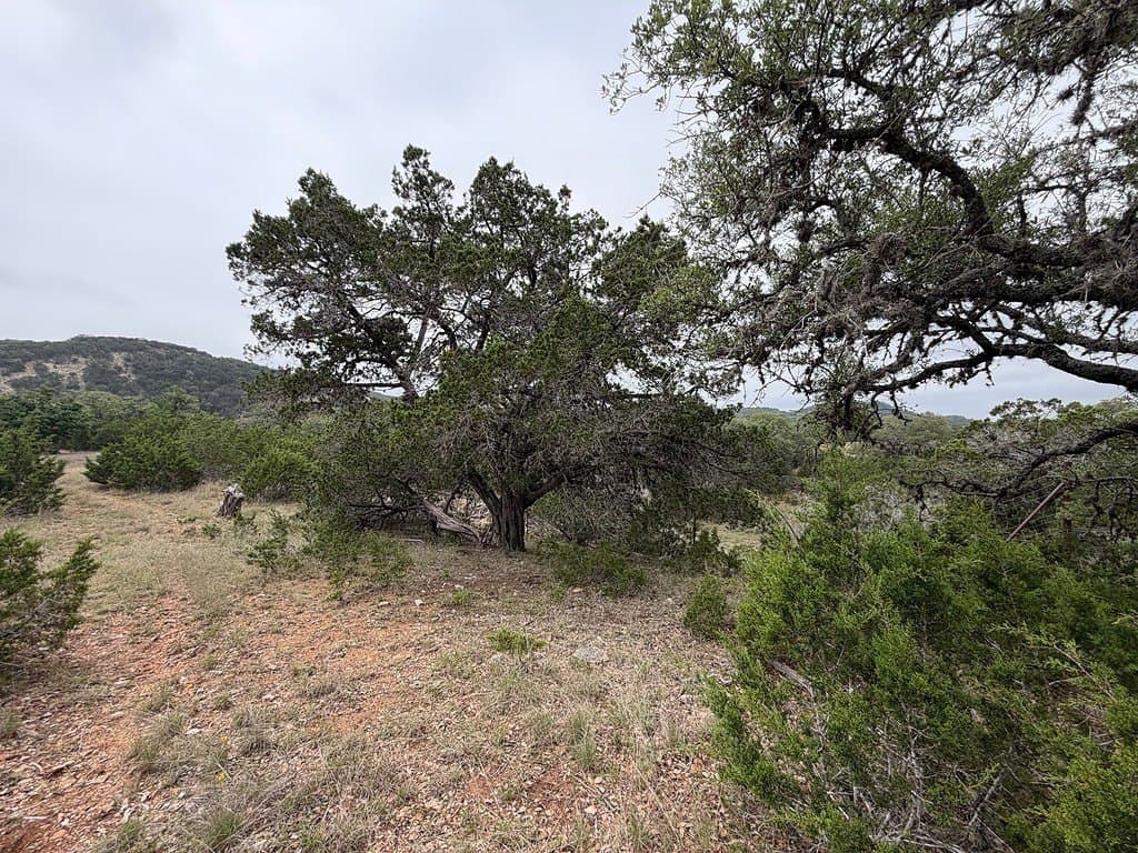23.38 acres in Kendall County