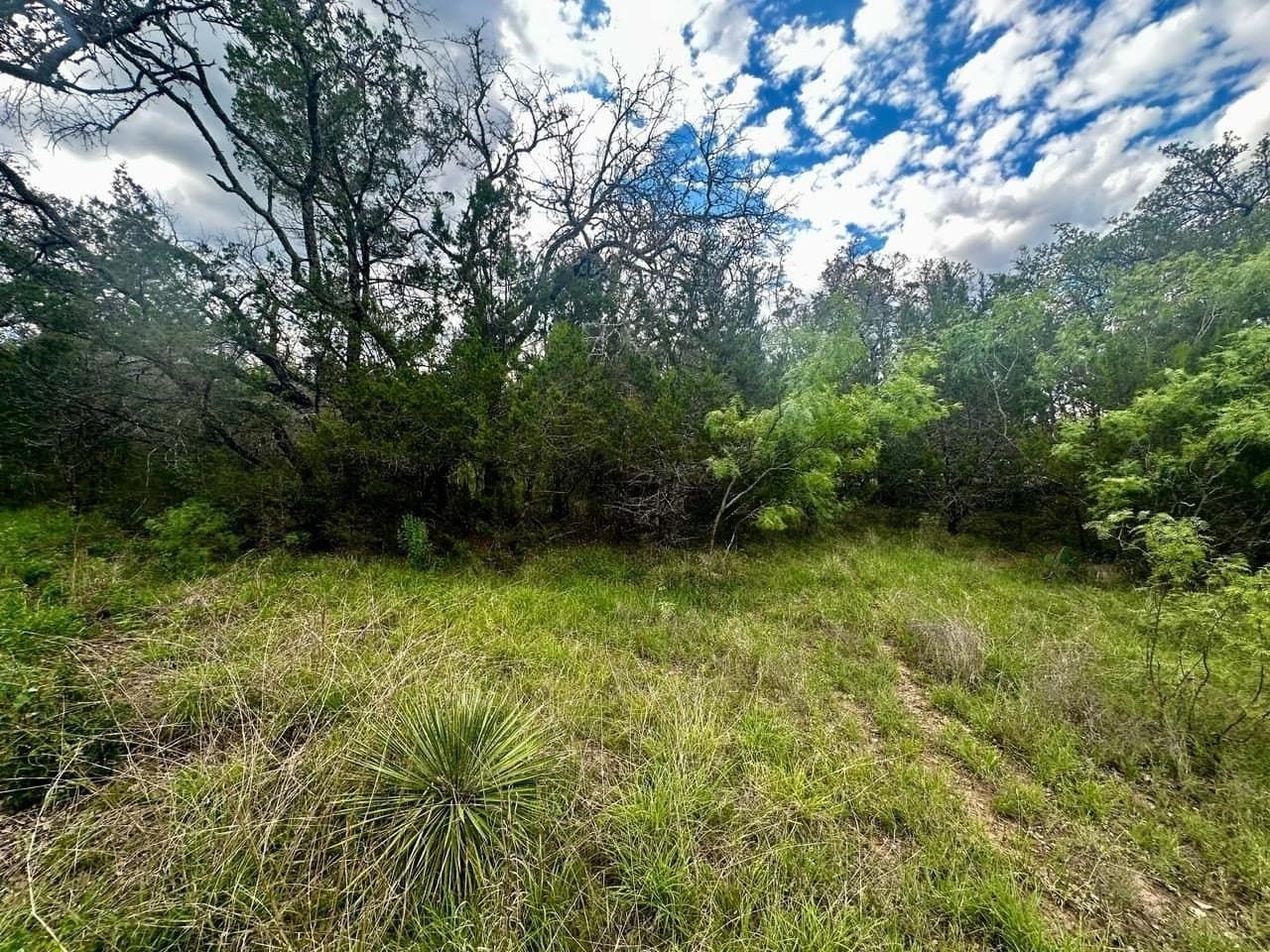 0.24 acres in Burnet County - photo 16