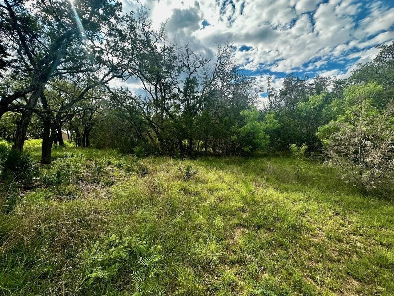0.24 acres in Burnet County - photo 11