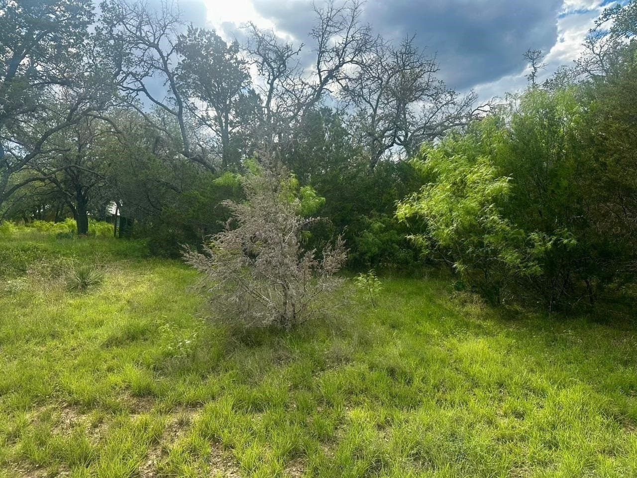 0.24 acres in Burnet County - photo 13