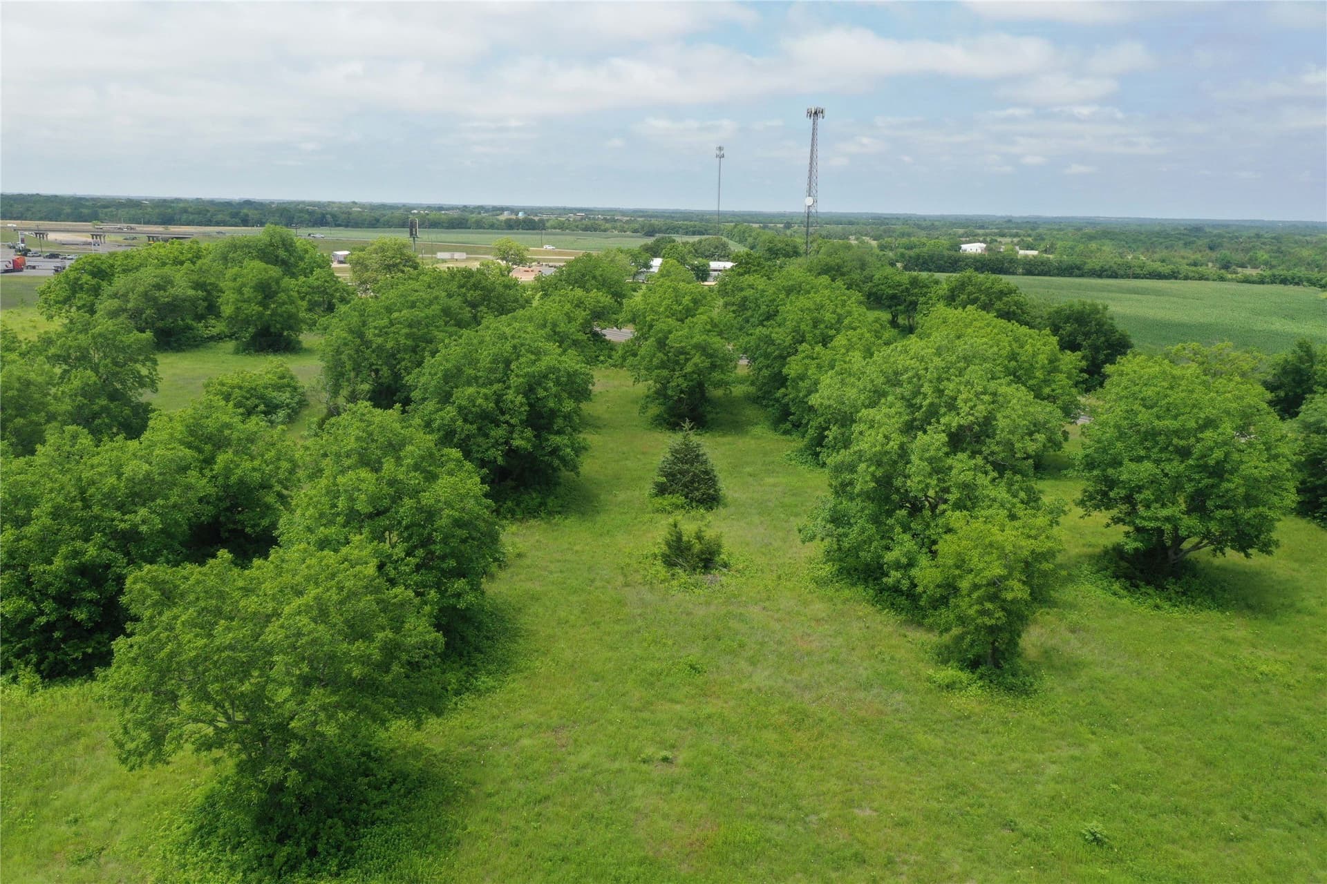 29.37 acres in Fannin County - photo 17