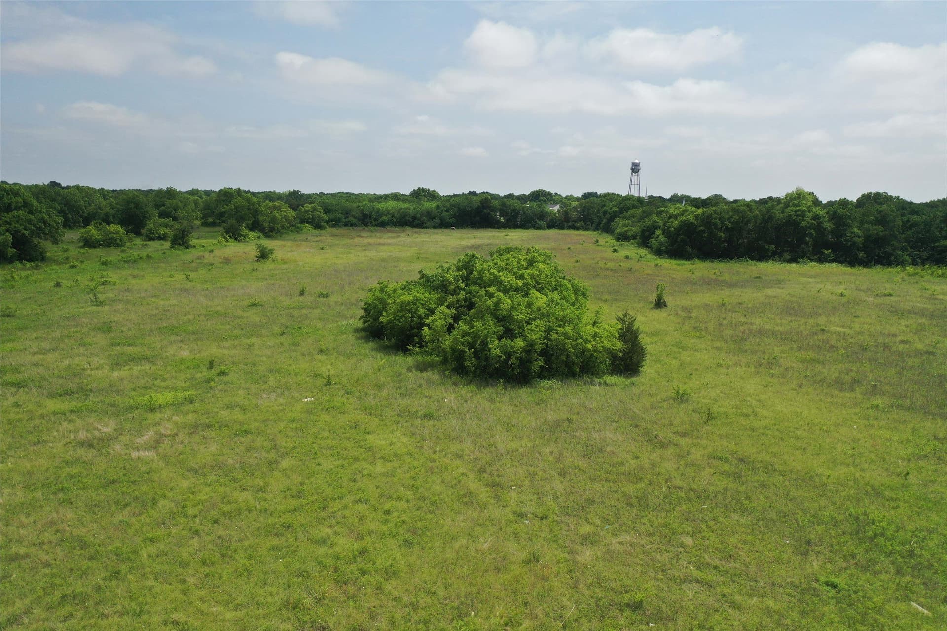29.37 acres in Fannin County - photo 23