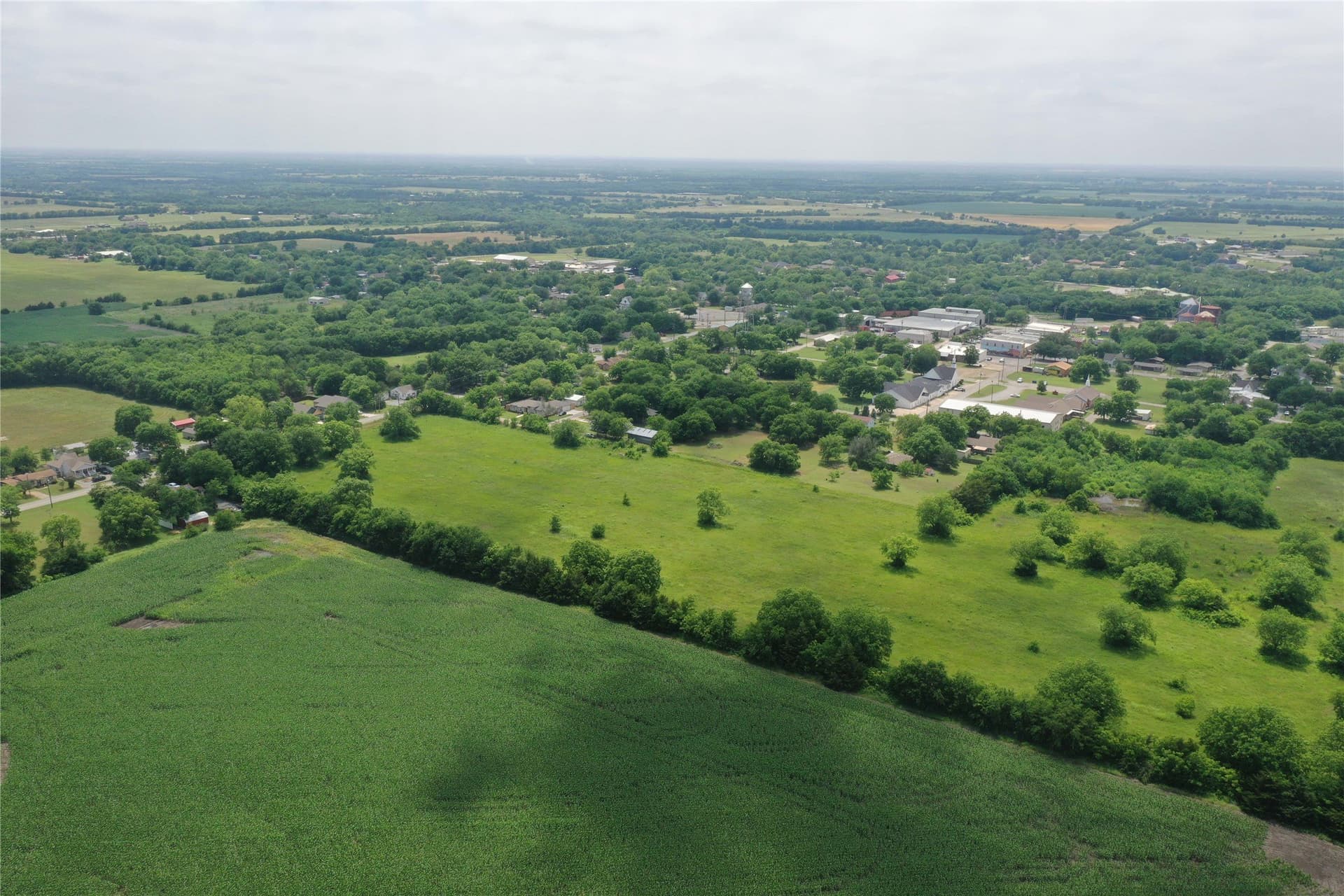 29.37 acres in Fannin County - photo 11