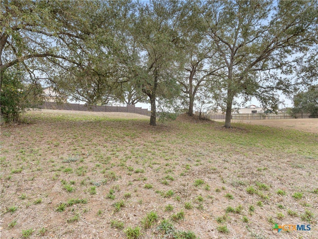 1.26 acres in DeWitt County - photo 6