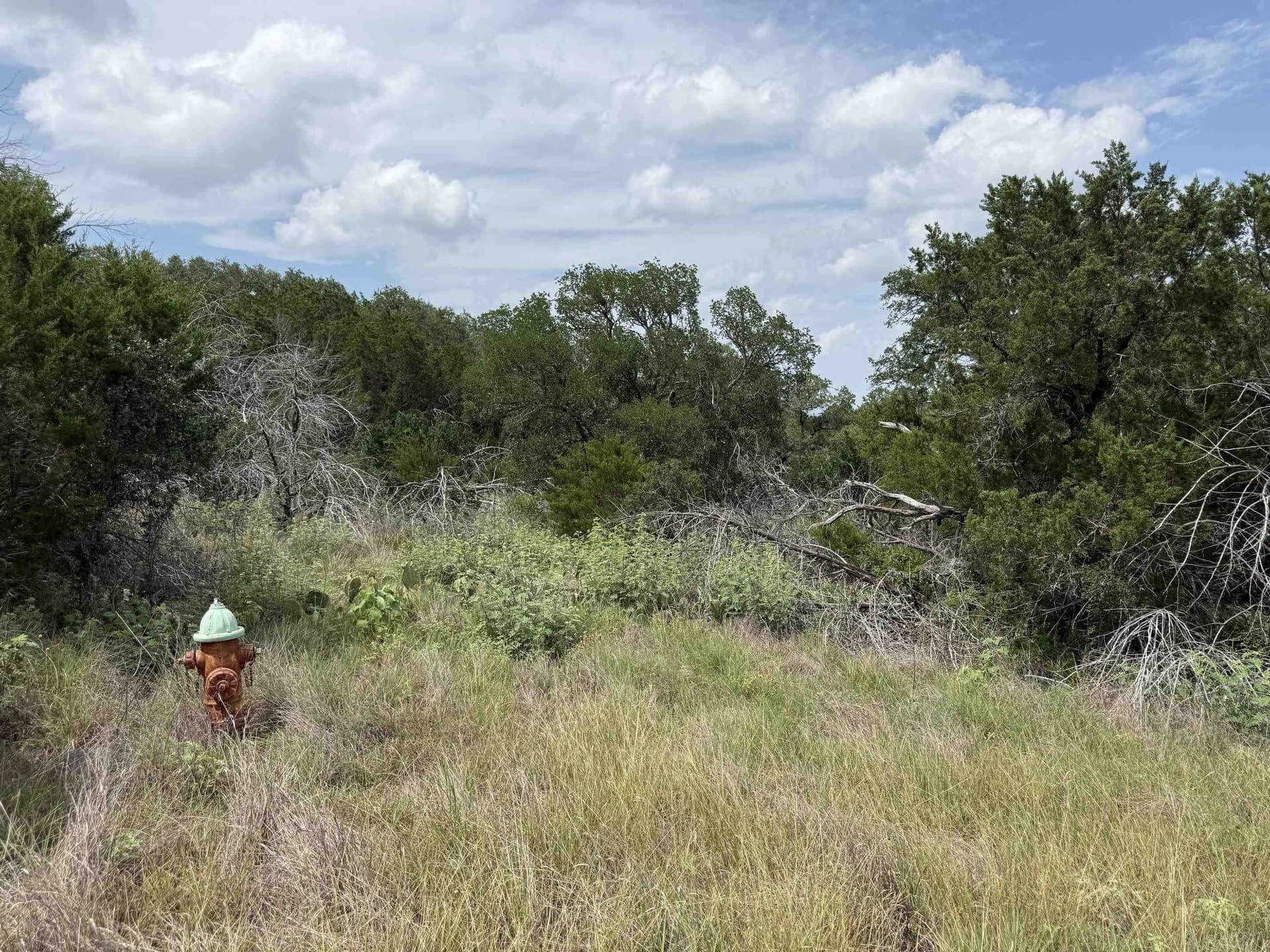 0.22 acres in Burnet County gallery image 3