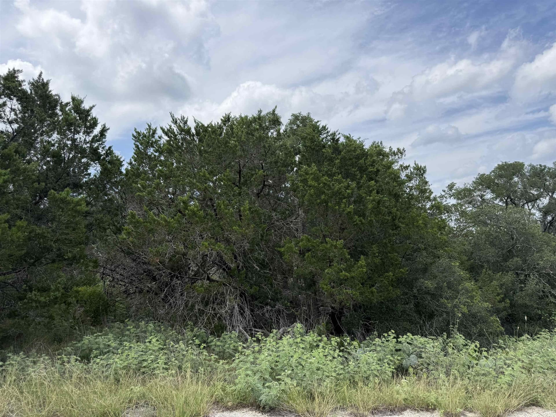 0.22 acres in Burnet County gallery image 4