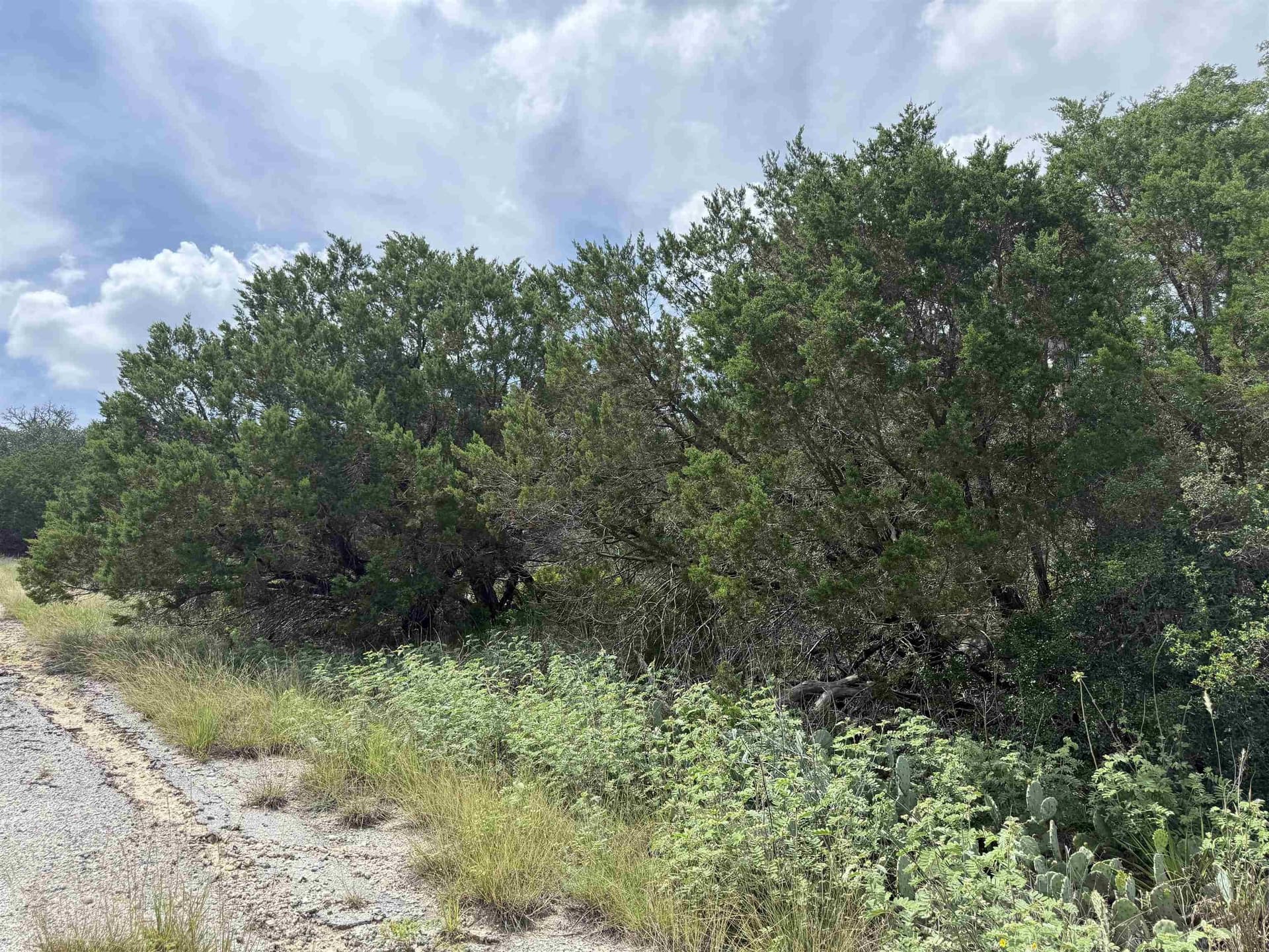 0.22 acres in Burnet County featured view