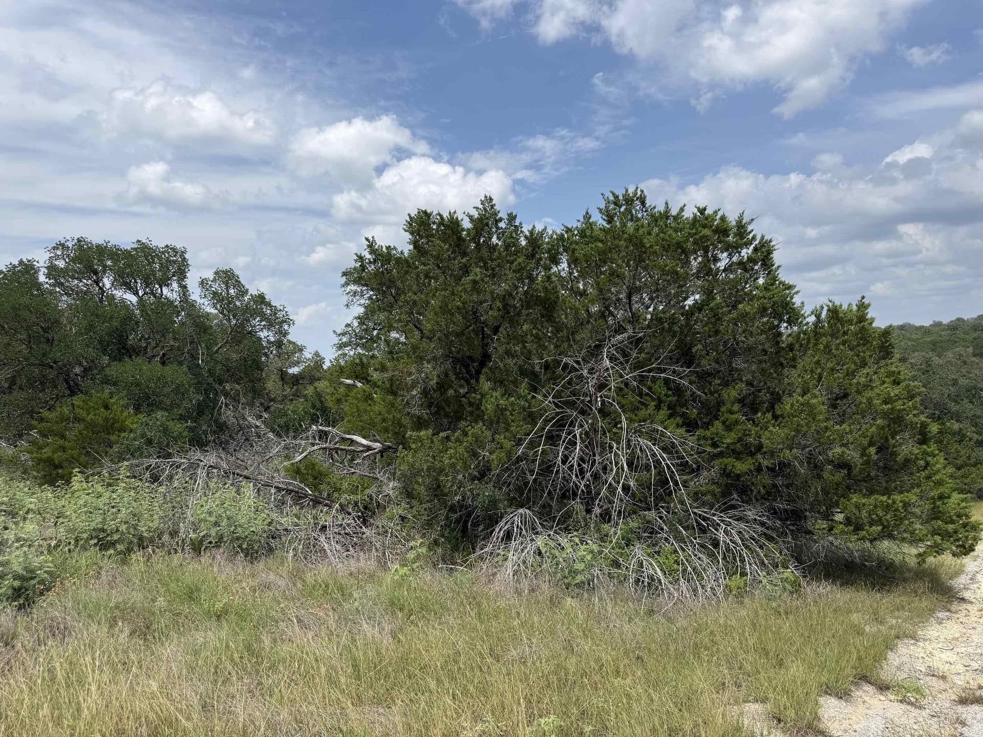 0.22 acres in Burnet County gallery image 2