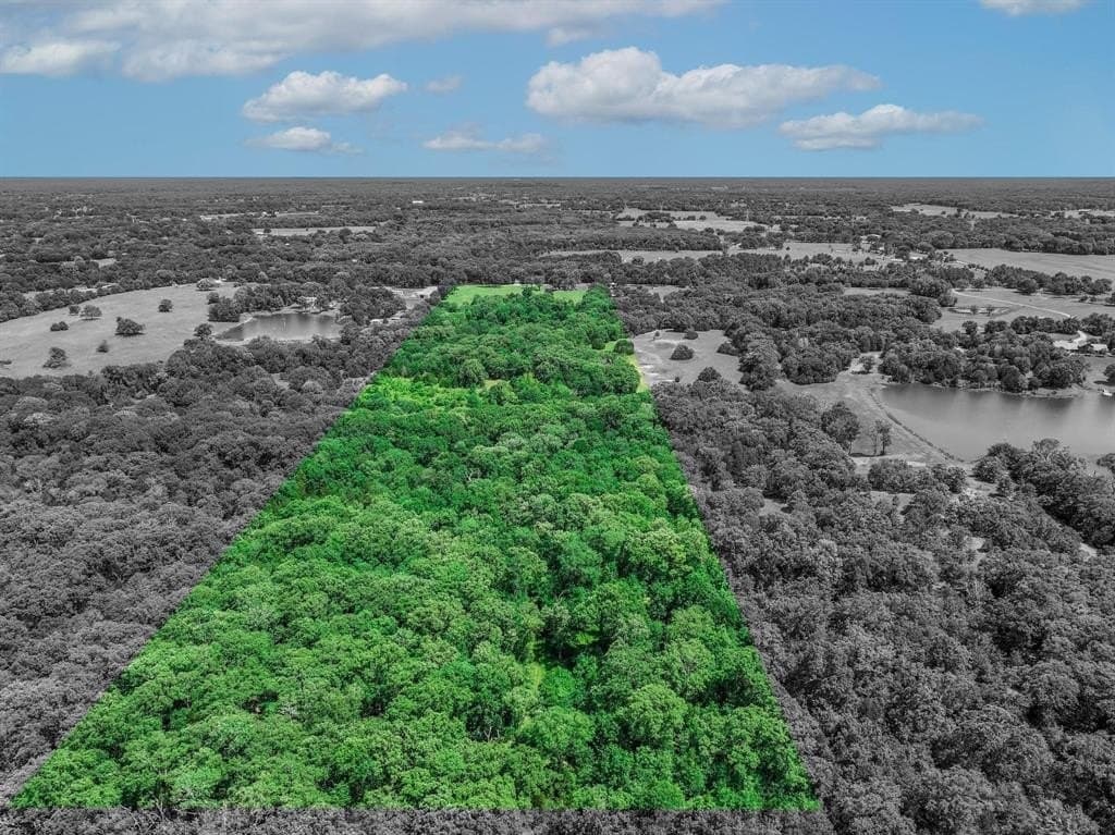 22 acres in Van Zandt County gallery image 4