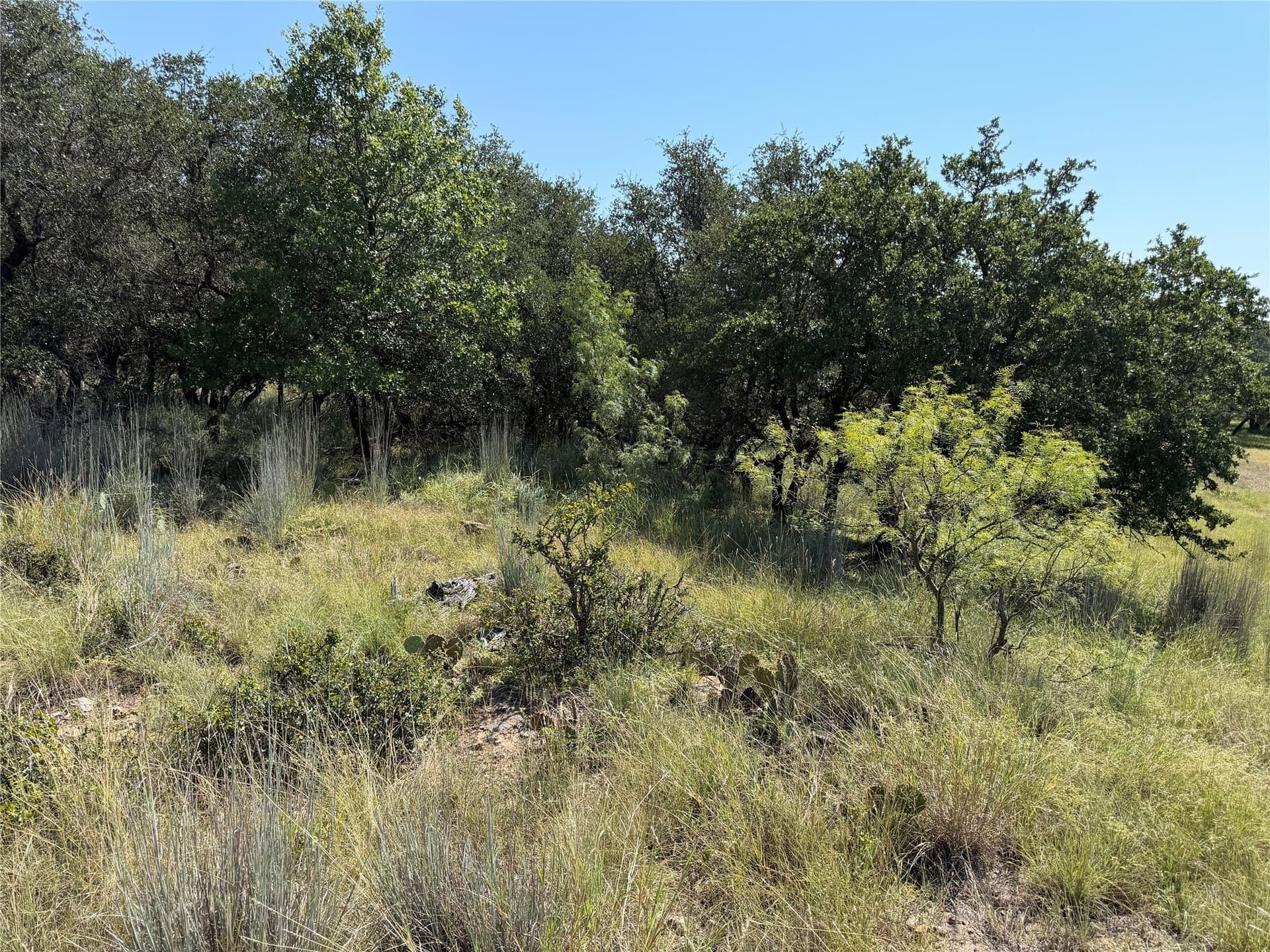 0.51 acres in Brown County gallery image 2