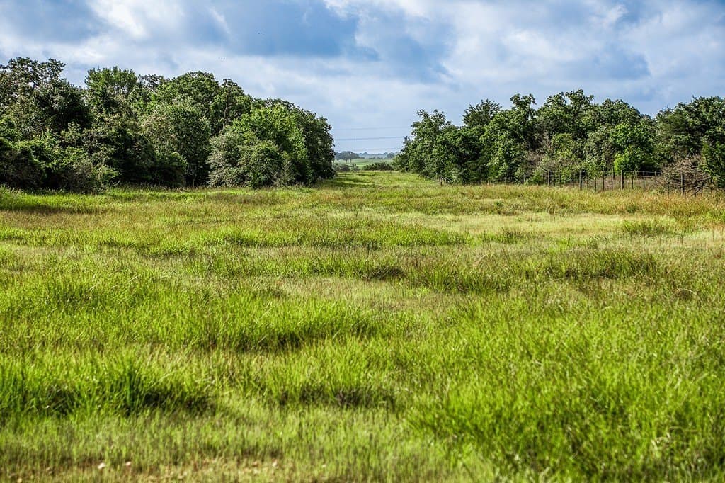 11.4 acres in Fayette County - photo 18