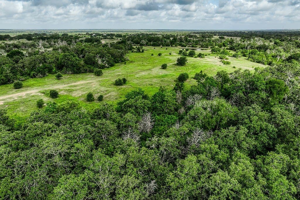 11.4 acres in Fayette County - photo 20