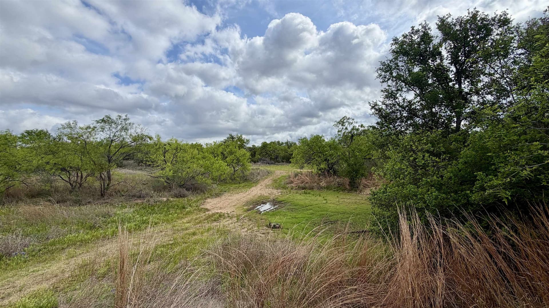 0.28 acres in Llano County gallery image 2