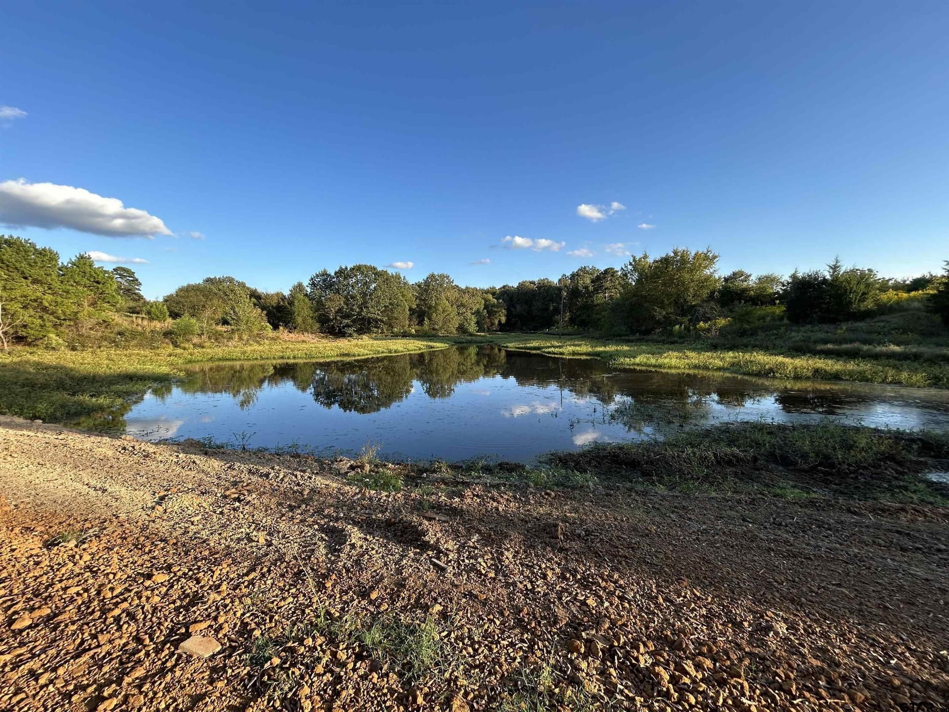 10.09 acres in Titus County gallery image 4
