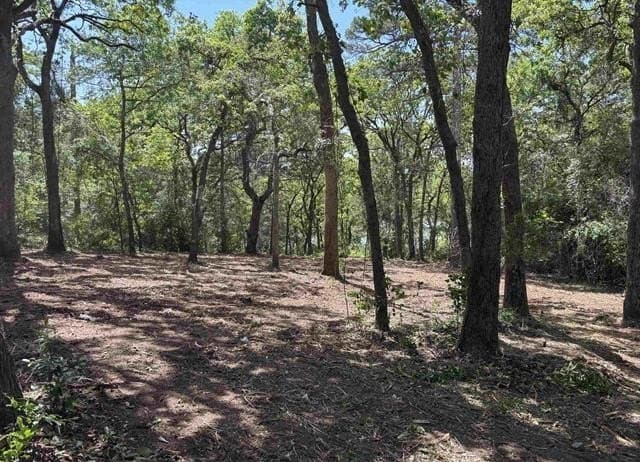 0.32 acres in Smith County - photo 2