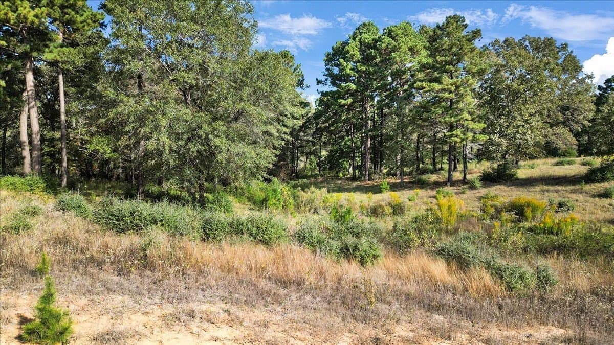5.09 acres in Upshur County - photo 9