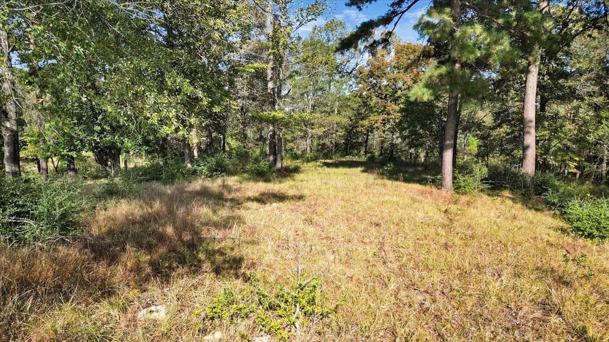 5.09 acres in Upshur County - photo 10