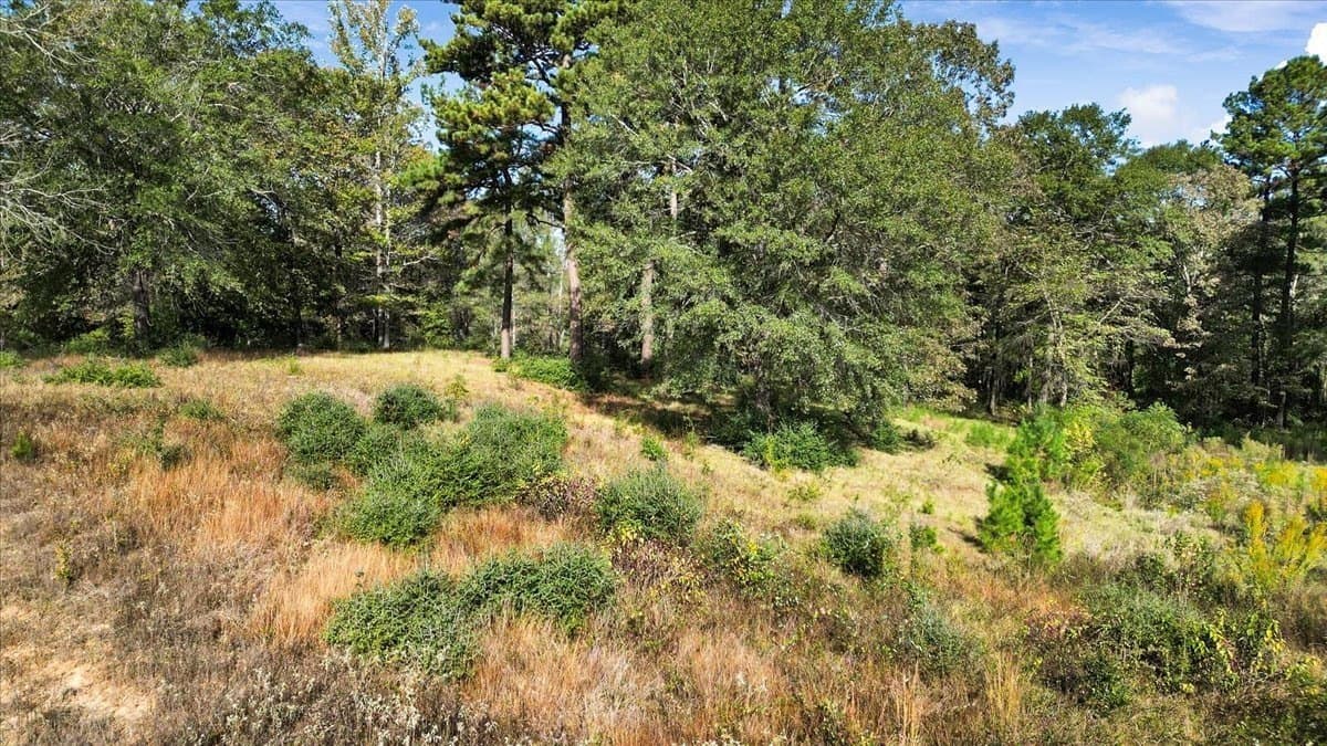 5.09 acres in Upshur County - photo 7