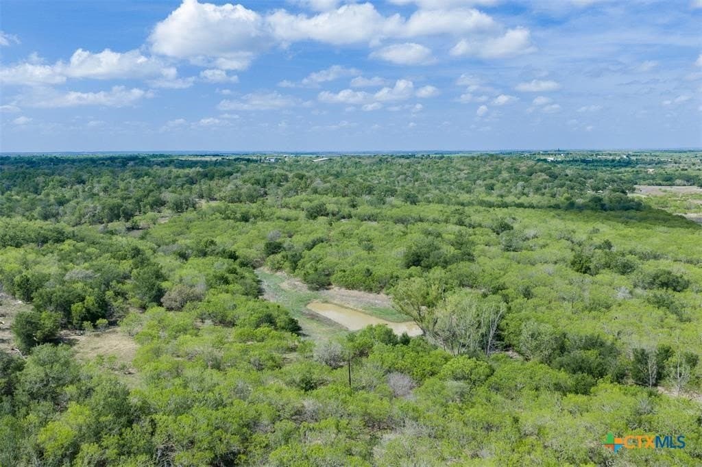 98.62 acres in Caldwell County - photo 37