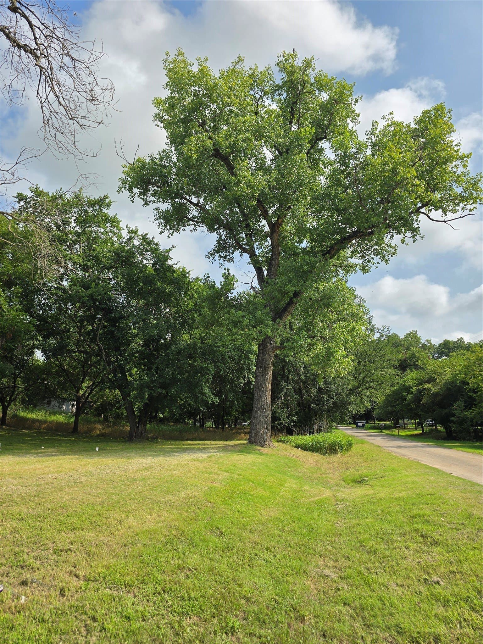 0.4 acres in Parker County - photo 19
