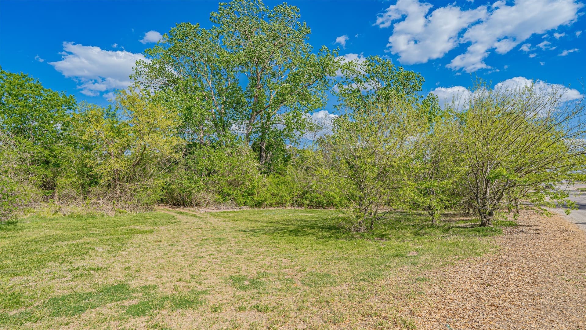 1.1 acres in Erath County - photo 6