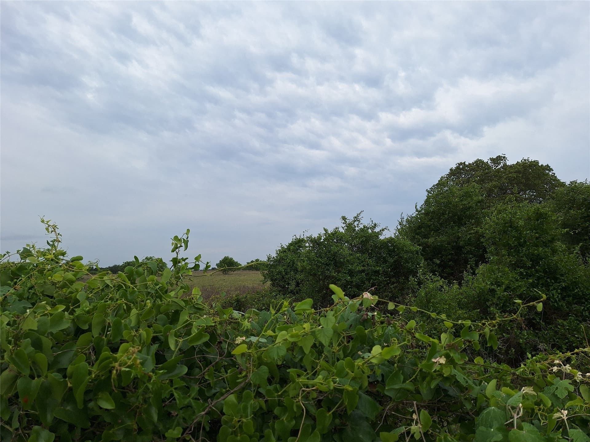 10.01 acres in San Saba County - photo 3