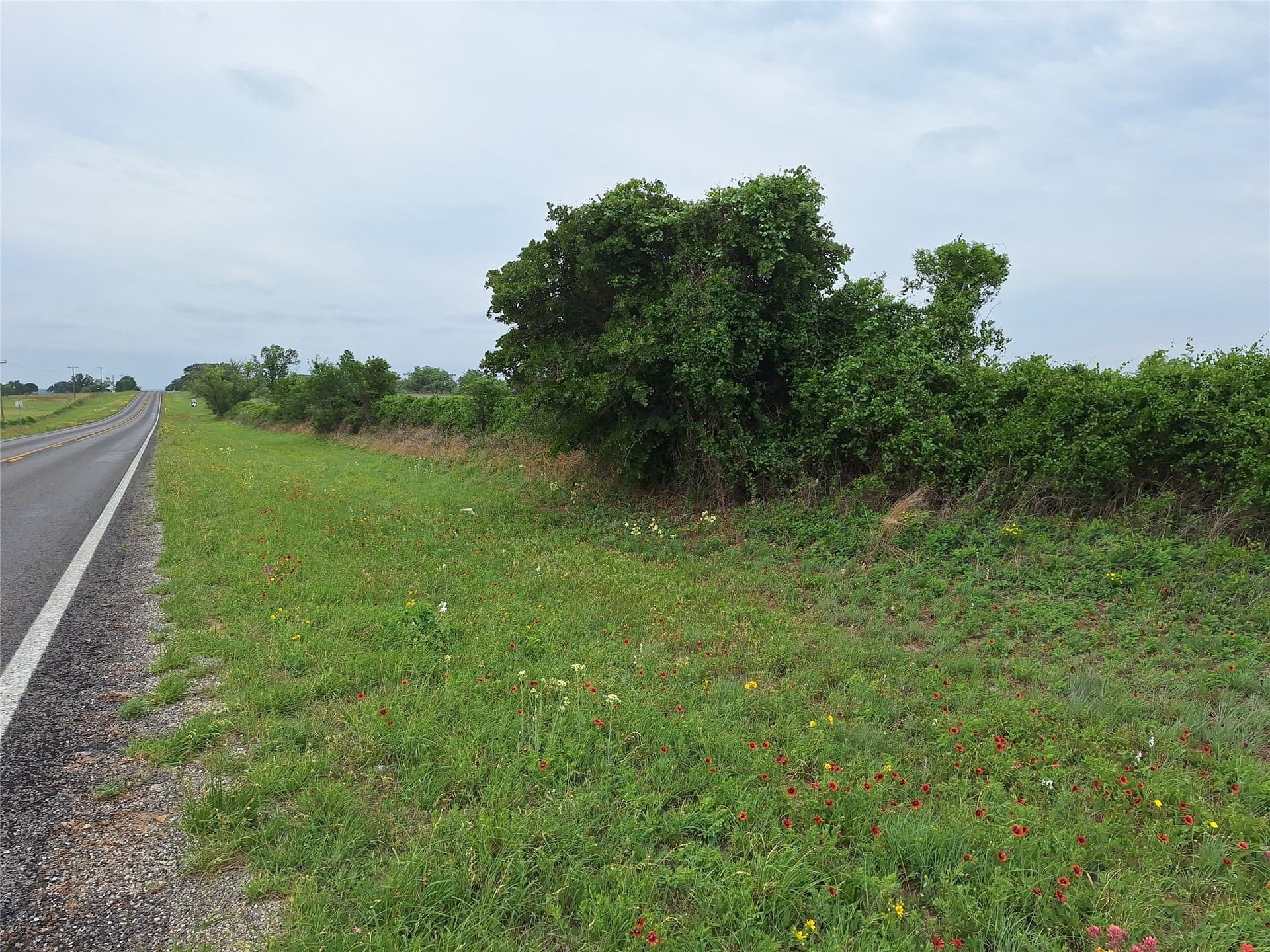 10.01 acres in San Saba County - photo 2