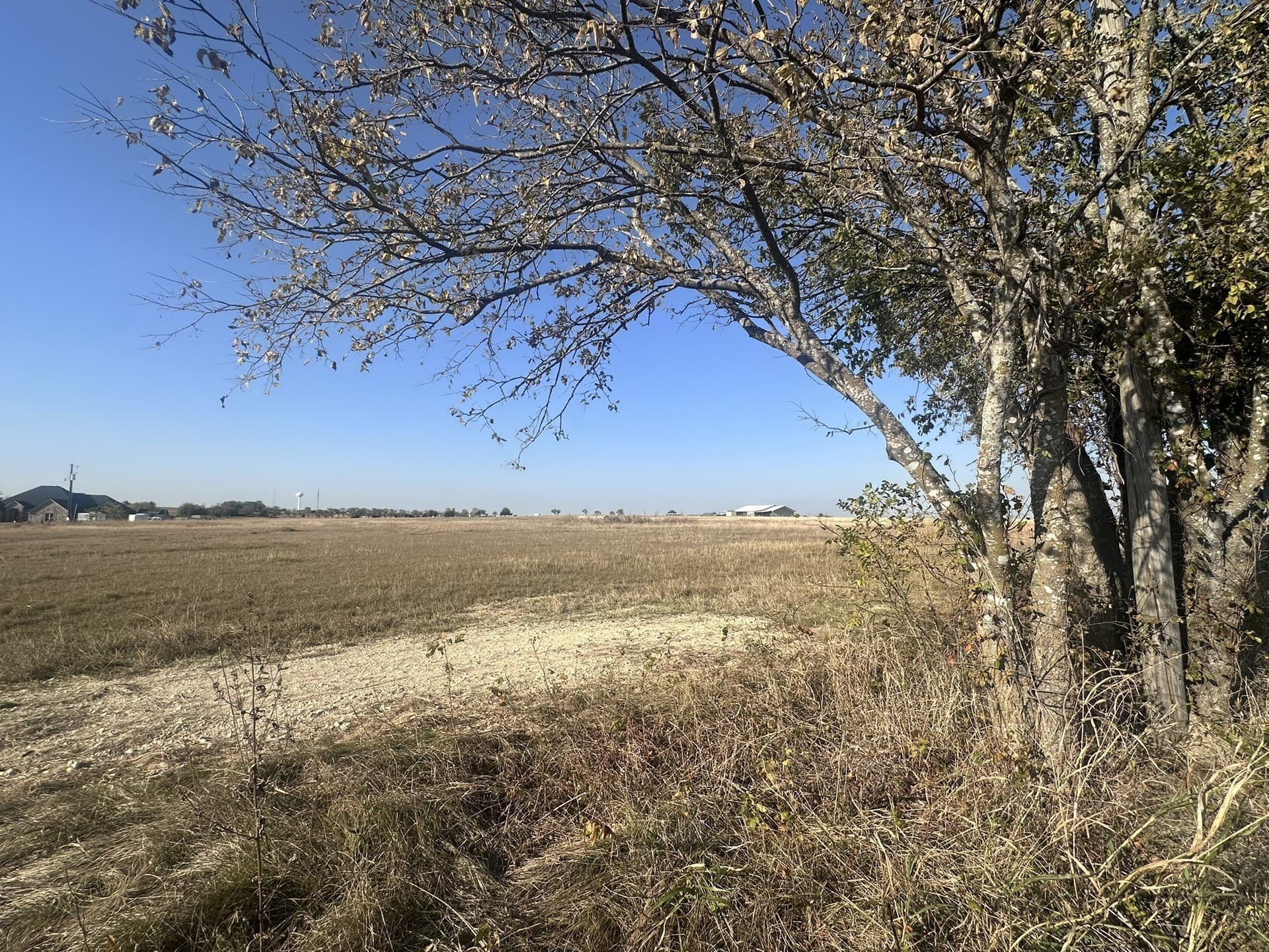 20 acres in Ellis County gallery image 4