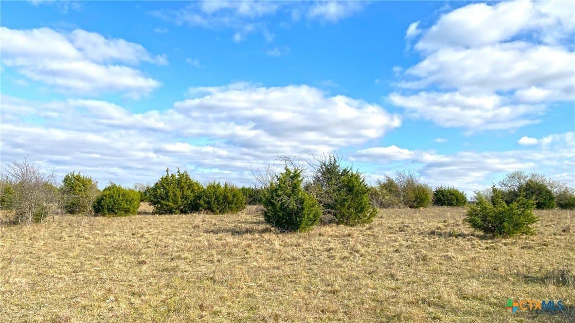 123.19 acres in Coryell County - photo 28