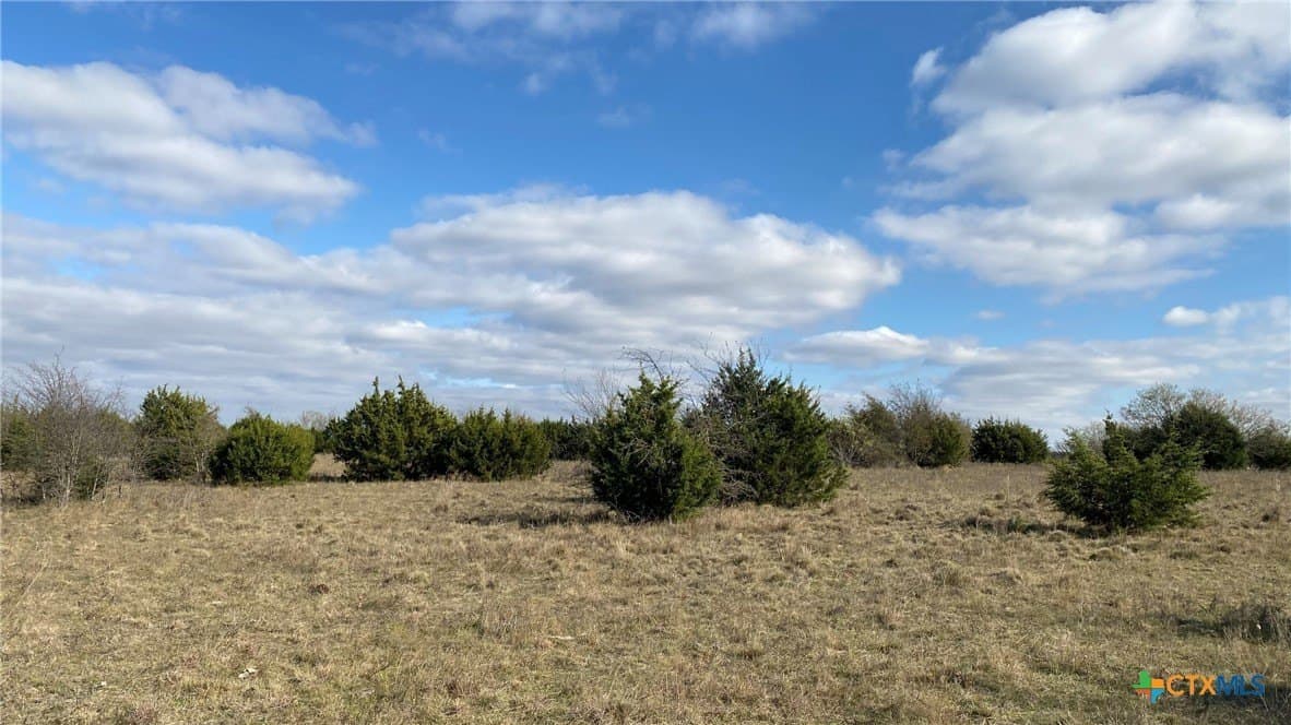 123.19 acres in Coryell County - photo 30
