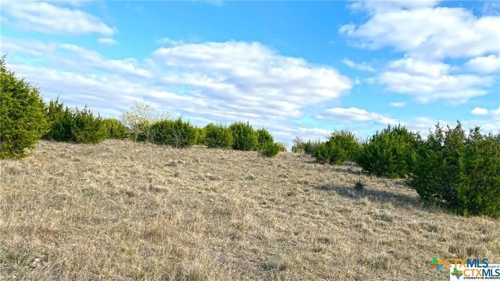 123.19 acres in Coryell County - photo 33