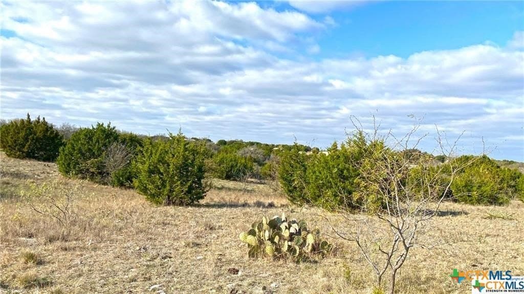 123.19 acres in Coryell County - photo 27