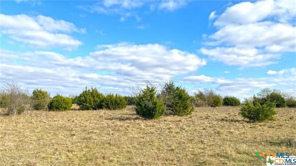 123.19 acres in Coryell County - photo 29