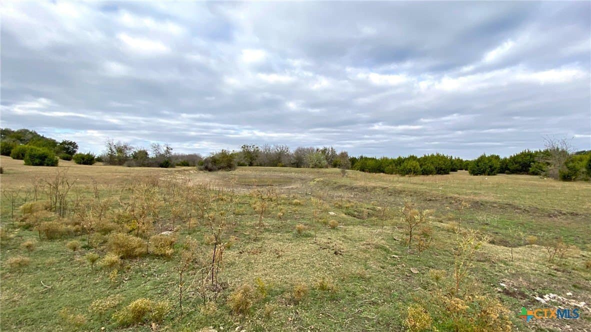 123.19 acres in Coryell County featured view